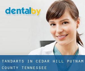 tandarts in Cedar Hill (Putnam County, Tennessee)