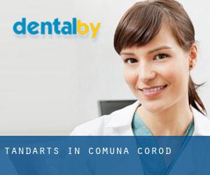 tandarts in Comuna Corod