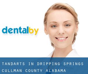 tandarts in Dripping Springs (Cullman County, Alabama)