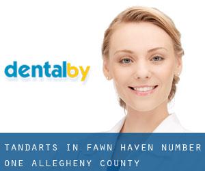 tandarts in Fawn Haven Number One (Allegheny County, Pennsylvania)