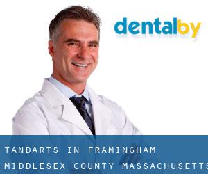 tandarts in Framingham (Middlesex County, Massachusetts)