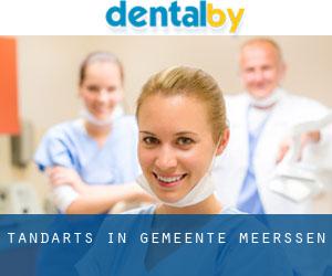tandarts in Gemeente Meerssen