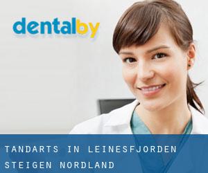 tandarts in Leinesfjorden (Steigen, Nordland)