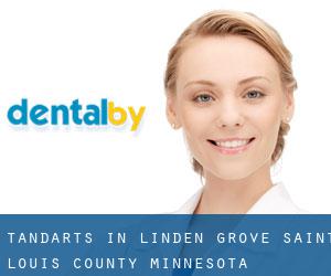 tandarts in Linden Grove (Saint Louis County, Minnesota)