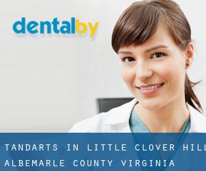 tandarts in Little Clover Hill (Albemarle County, Virginia)