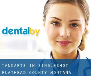 tandarts in Singleshot (Flathead County, Montana)