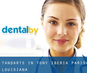 tandarts in Tony (Iberia Parish, Louisiana)