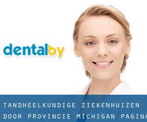 tandheelkundige ziekenhuizen door Provincie (Michigan) - pagina 1