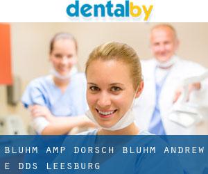 Bluhm & Dorsch: Bluhm Andrew E DDS (Leesburg)