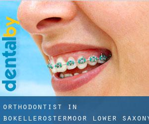 Orthodontist in Bokellerostermoor (Lower Saxony)