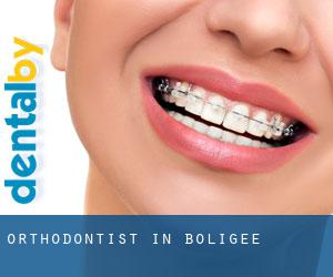 Orthodontist in Boligee