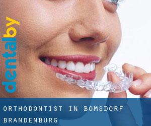 Orthodontist in Bomsdorf (Brandenburg)
