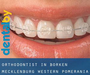 Orthodontist in Borken (Mecklenburg-Western Pomerania)