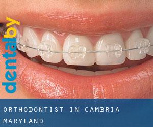 Orthodontist in Cambria (Maryland)