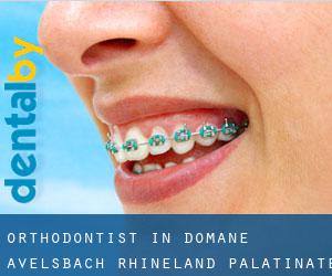 Orthodontist in Domäne Avelsbach (Rhineland-Palatinate)
