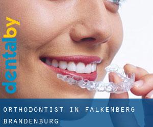 Orthodontist in Falkenberg (Brandenburg)