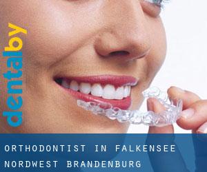 Orthodontist in Falkensee-Nordwest (Brandenburg)