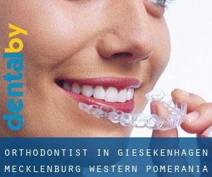 Orthodontist in Giesekenhagen (Mecklenburg-Western Pomerania)
