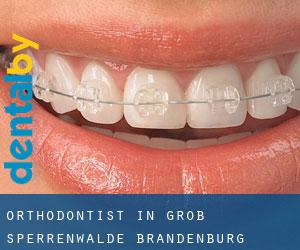 Orthodontist in Groß Sperrenwalde (Brandenburg)
