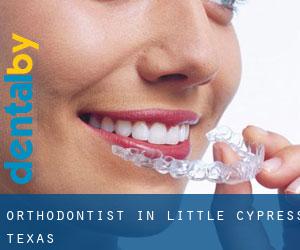Orthodontist in Little Cypress (Texas)