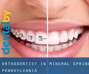 Orthodontist in Mineral Spring (Pennsylvania)