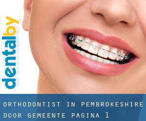Orthodontist in Pembrokeshire door gemeente - pagina 1