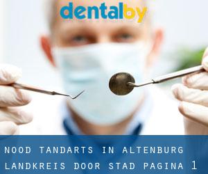 Nood tandarts in Altenburg Landkreis door stad - pagina 1