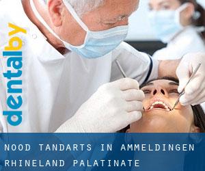 Nood tandarts in Ammeldingen (Rhineland-Palatinate)