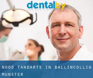 Nood tandarts in Ballincollig (Munster)