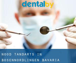 Nood tandarts in Bösennordlingen (Bavaria)