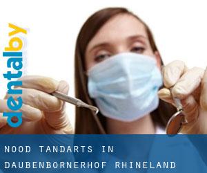 Nood tandarts in Daubenbornerhof (Rhineland-Palatinate)