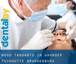 Nood tandarts in Gahroer Pechhütte (Brandenburg)