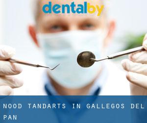 Nood tandarts in Gallegos del Pan