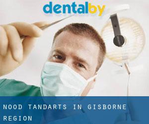 Nood tandarts in Gisborne Region