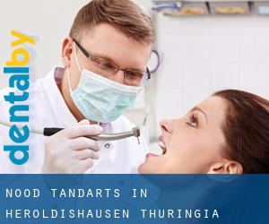 Nood tandarts in Heroldishausen (Thuringia)