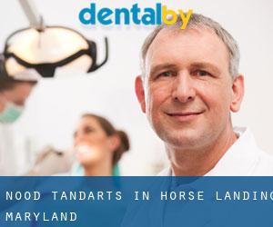 Nood tandarts in Horse Landing (Maryland)