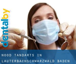 Nood tandarts in Lauterbach/Schwarzwald (Baden-Württemberg)
