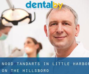 Nood tandarts in Little Harbor on the Hillsboro