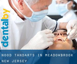 Nood tandarts in Meadowbrook (New Jersey)