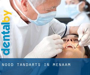 Nood tandarts in Menaam
