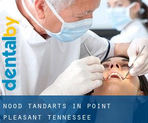 Nood tandarts in Point Pleasant (Tennessee)