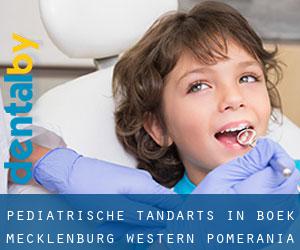 Pediatrische tandarts in Boek (Mecklenburg-Western Pomerania)