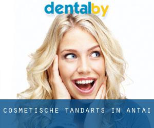 Cosmetische tandarts in Antai