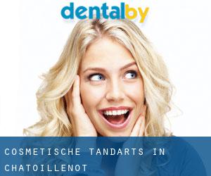 Cosmetische tandarts in Chatoillenot