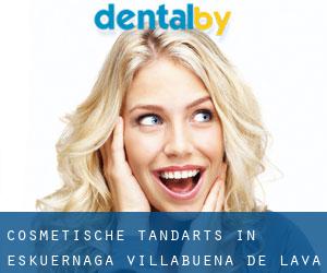 Cosmetische tandarts in Eskuernaga / Villabuena de Álava