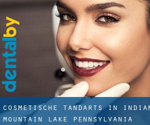 Cosmetische tandarts in Indian Mountain Lake (Pennsylvania)