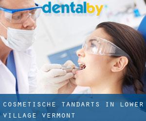 Cosmetische tandarts in Lower Village (Vermont)