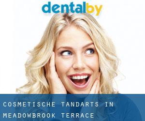 Cosmetische tandarts in Meadowbrook Terrace