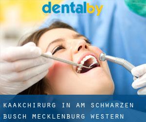 Kaakchirurg in Am Schwarzen Busch (Mecklenburg-Western Pomerania)