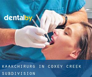 Kaakchirurg in Coxey Creek Subdivision